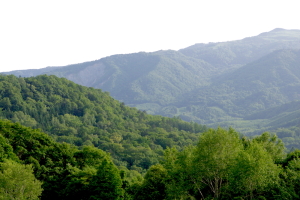 八幡の大崩れ