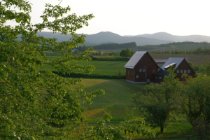 夕景
