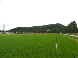 トレイルランの丘 トレイルランの丘