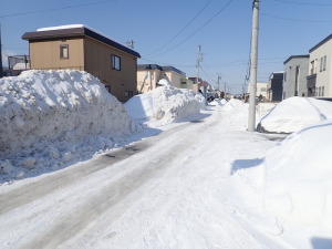 札幌の雪の壁