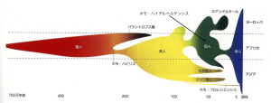 人類進化