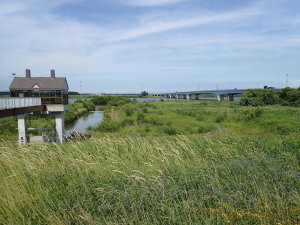茨戸川取水口