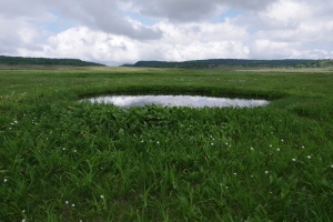 池塘