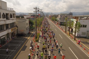 新道陸橋